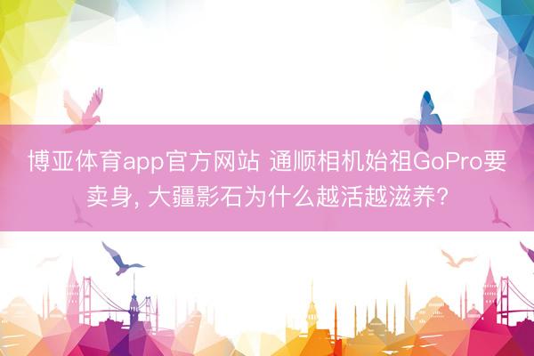 博亚体育app官方网站 通顺相机始祖GoPro要卖身， 大疆影石为什么越活越滋养?