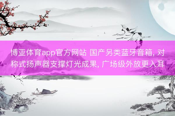 博亚体育app官方网站 国产另类蓝牙音箱， 对称式扬声器支撑灯光成果， 广场级外放更入耳