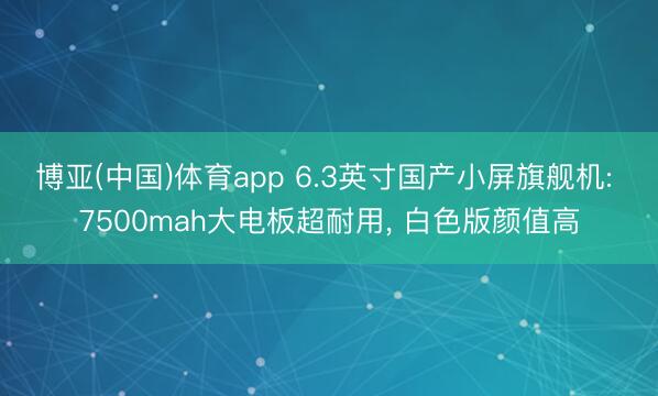 博亚(中国)体育app 6.3英寸国产小屏旗舰机: 7500mah大电板超耐用， 白色版颜值高