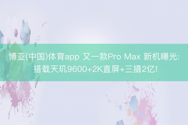 博亚(中国)体育app 又一款Pro Max 新机曝光: 搭载天玑9600+2K直屏+三摄2亿!