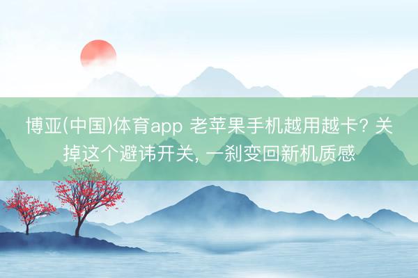 博亚(中国)体育app 老苹果手机越用越卡? 关掉这个避讳开关， 一刹变回新机质感