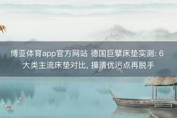 博亚体育app官方网站 德国巨擘床垫实测: 6 大类主流床垫对比， 摸清优污点再脱手