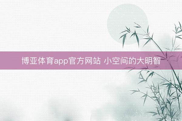 博亚体育app官方网站 小空间的大明智