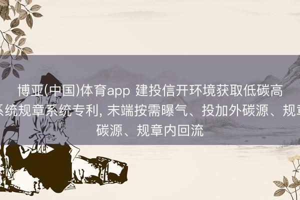 博亚(中国)体育app 建投信开环境获取低碳高效生化系统规章系统专利， 末端按需曝气、投加外碳源、规章内回流