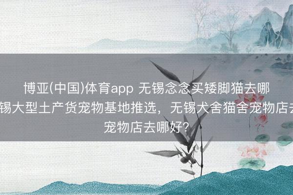 博亚(中国)体育app 无锡念念买矮脚猫去哪找？无锡大型土产货宠物基地推选，无锡犬舍猫舍宠物店去哪好？