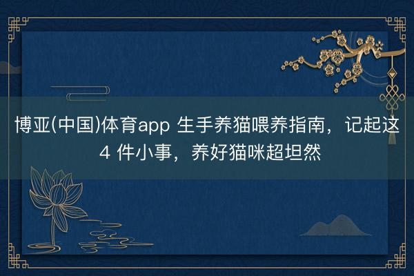 博亚(中国)体育app 生手养猫喂养指南，记起这 4 件小事，养好猫咪超坦然