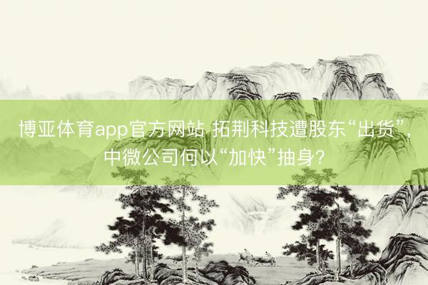 博亚体育app官方网站 拓荆科技遭股东“出货”，中微公司何以“加快”抽身？