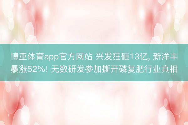 博亚体育app官方网站 兴发狂砸13亿， 新洋丰暴涨52%! 无数研发参加撕开磷复肥行业真相