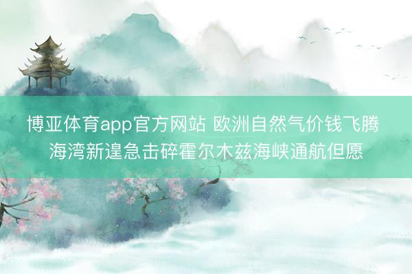 博亚体育app官方网站 欧洲自然气价钱飞腾 海湾新遑急击碎霍尔木兹海峡通航但愿