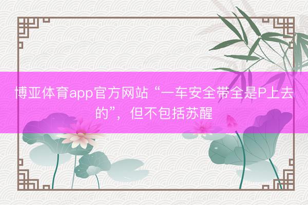 博亚体育app官方网站 “一车安全带全是P上去的”，但不包括苏醒