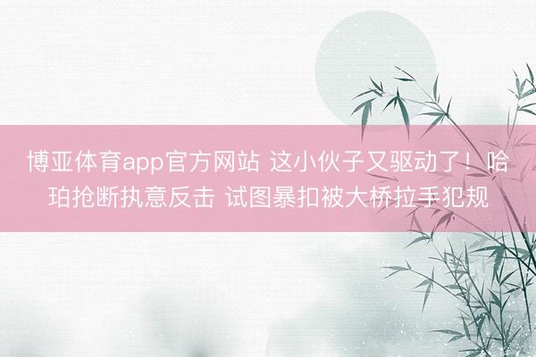 博亚体育app官方网站 这小伙子又驱动了！哈珀抢断执意反击 试图暴扣被大桥拉手犯规