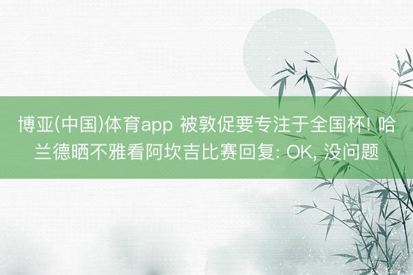博亚(中国)体育app 被敦促要专注于全国杯! 哈兰德晒不雅看阿坎吉比赛回复: OK， 没问题