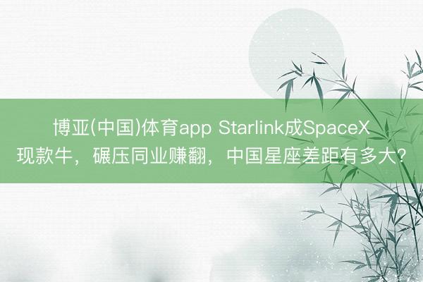 博亚(中国)体育app Starlink成SpaceX现款牛，碾压同业赚翻，中国星座差距有多大？